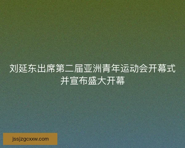 刘延东出席第二届亚洲青年运动会开幕式并宣布盛大开幕